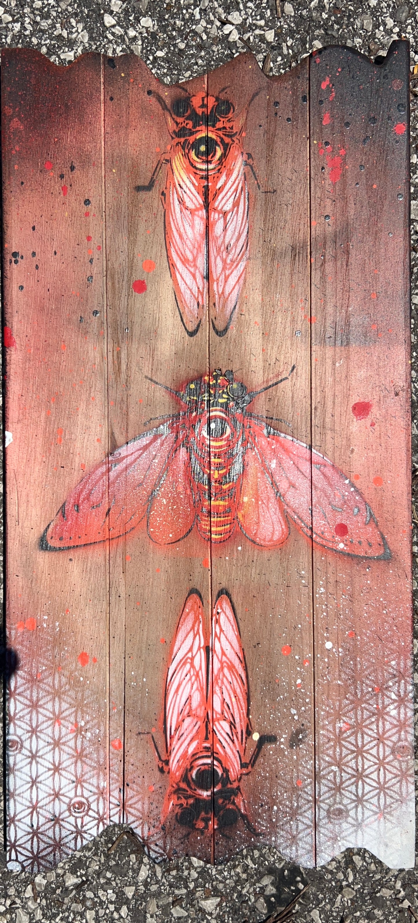 Large Sacred CicEYEdas 3