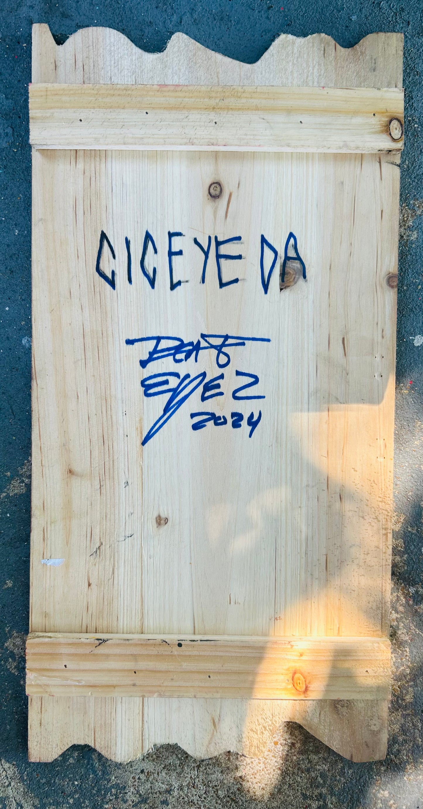 Large Sacred CicEYEdas 3