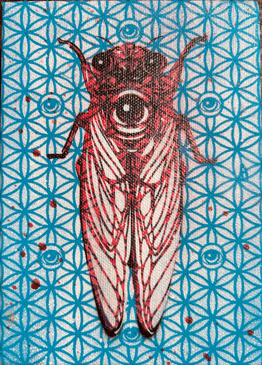 Sacred CicEYEdas Blue/Red