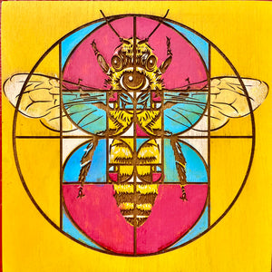 Golden Ratio Bee Engraving - Primary Colors